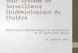 Sous-Système de Surveillance Epidémiologique du Choléra Direction dEpidémiologie de Laboratoire et de Recherche (DELR) 31 Janvier 2014