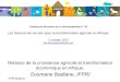 IFPRI/Badiane Briefing de Bruxelles sur le développement n° 33 Les facteurs de succès pour la transformation agricole en Afrique. 2 octobre 2013