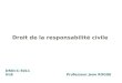 DROI-C-5011 ULBProfesseur Jean ROGGE Droit de la responsabilité civile