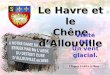 Le Havre et le Chêne dAllouville Visité Par Un vent glacial. Cliquez à votre rythme