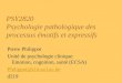 PSY2820 Psychologie pathologique des processus émotifs et expressifs Pierre Philippot Unité de psychologie clinique: Emotion, cognition, santé (ECSA) Philippot@clis.ucl.ac.be