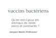 Vaccins bactériens Qu'en est-il pour les animaux de rente: porcs et ruminants ? Jacques Mainil, Professeur