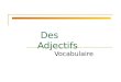 Des Adjectifs Vocabulaire. - Adjectives describe ________. - In French, all nouns are either masculine or feminine. - Adjectives match the noun they describe