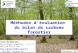 Méthodes dévaluation du bilan de carbone forestier Nicolas Delpierre Ecophysiologie végétale, L.E.S.E. Université Paris Sud nicolas.delpierre@u-psud.fr