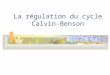 La régulation du cycle Calvin- Benson. Réaction Mehler / Cycle water-water Normalement, les électrons du photosystème I sont utilisés pour la réduction