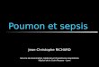 Poumon et sepsis Jean-Christophe RICHARD Service de réanimation médicale et d'assistance respiratoire Hôpital de la Croix-Rousse – Lyon