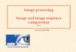 Image processing Image and image sequence compression bases Session 2005-2006 Ecole Centrale Marseille