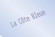 La Côte Bleue borde les Bouches du Rhône entre Martigues et Marseille. Elle recèle de magnifiques calanques et madragues et aussi des ports pittoresques
