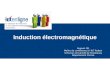 Induction électromagnétique Hugues Ott Maître de conférence à lIUT Robert Schuman Université de Strasbourg Département Chimie