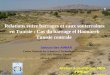 Relations entre barrages et eaux souterraines en Tunisie : Cas du barrage el Haouareb Tunisie centrale Safouan Ben AMMAR Centre National des Sciences et