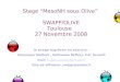 1 Stage MesoNH sous Olive SWAPP/OLIVE Toulouse 27 Novembre 2008 la swapp-bug-team en exercice : Véronique Mathiot, Guillaume Beffrey, Eric Sevault mail: