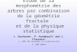 Etude de la morphométrie des arbres par combinaison de la géométrie fractale et de la physique statistique J. Duchesne 1, P. Raimbault 2 and C. Fleurant