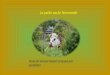 La petite vache Normande Texte de Simone Robert proposé par Jackdidier