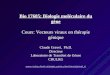 Bio 17685: Biologie moléculaire du gène Cours: Vecteurs viraux en thérapie génique Claude Gravel, Ph.D. Directeur Laboratoire de Transfert de Gènes CRULRG