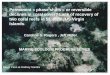 Permanent « phase shifts » or reversible declines in coral cover? Lack of recovery of two coral reefs in St. John, US Virgin Islands. Caroline S. Rogers,