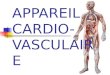 APPAREIL CARDIO- VASCULAIRE. 24/06/2014 00:56 Dr. ABDALLAH - Appareil circulatoire2 Plan du cours  Introduction.  Cœur.  Vaisseaux sanguins.  Système