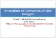 Email : Abdelli@hotmail.com Site Web :  Animation et Compression des Images