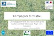 Campagnol terrestre Développement de lutte intégrée Natura 2000 Oiseaux Pays des Couzes Dauzat-sur-Vodable – 30 janvier 2014