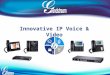 Innovative IP Voice & Video. Introduction UCM6100 Aperçu de la société et portefeuille produits UCM6100 Caractéristiques et positionnement UCM6100 LAB
