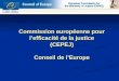 Commission européenne pour l’efficacité de la justice (CEPEJ) Conseil de l’Europe
