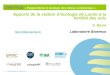 UMR7618 « Biogéochimie et écologie des milieux continentaux » Apports de la station d’écologie de Lamto à la fertilité des sols S. Barot //millsonia.free.fr