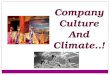 Company Culture & Climate