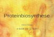 Proteinbiosynthese e-book von S.Heim Demo-Version