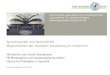 DFG-Projekt Jugendsprache im Längsschnitt Leitung Prof. Dr. Norbert Dittmar  Sprachwandel und Sprachkritik. Möglichkeiten der