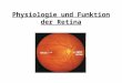 Physiologie und Funktion der Retina. Literatur How the retina works H.Kolb, American Scientist, 2003 The fundamental plan of the retina R.H.Masland, Nature