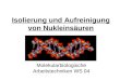 Isolierung und Aufreinigung von Nukleins¤uren Molekularbiologische Arbeitstechniken WS 04