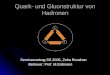 Quark- und Gluonstruktur von Hadronen Seminarvortrag SS 2005, Zoha Roushan Seminarvortrag SS 2005, Zoha Roushan Betreuer: Prof. M.Erdmann