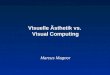 Visuelle Ästhetik vs. Visual Computing Marcus Magnor
