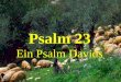Psalm 23 Ein Psalm Davids. Der Herr ist mein Hirte, mir wird nichts mangeln