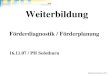 Raphael Gschwend / HfH Weiterbildung Förderdiagnostik / Förderplanung 16.11.07 / PH Solothurn