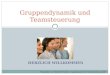 HERZLICH WILLKOMMEN Gruppendynamik und Teamsteuerung Präsentation von Stefan Schneider | Gruppendynamik und Teamsteuerung | 2007
