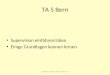 TA 5 Bern Supervision einführen/üben Einige Grundlagen kennen lernen 1TA5Bern, 10.6.09, 