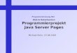 Web & Datenbanken Programmierprojekt Java Server Pages Michael Klein, 15.06.2005 Programmierübung NKI