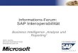 TM Detlev Jeschka Microsoft Deutschland GmbH detlevj@  Informations-Forum: SAP Interoperabilität Business Intelligence Analyse und Reporting