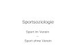 Sportsoziologie Sport im Verein – Sport ohne Verein