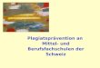 Plagiatsprävention an Mittel- und Berufsfachschulen der Schweiz