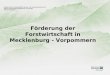 Förderung der Forstwirtschaft in Mecklenburg - Vorpommern Ministerium für Landwirtschaft, Umwelt und Verbraucherschutz M-V Abteilung Nachhaltige Entwicklung