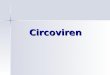 Circoviren. SGD-Statistik Cl. perfringens Typ C, Lawsonia, Circoviren