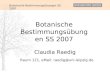 Botanische Bestimmungsübungen SS 2007 Claudia Raedig Raum 121, eMail: raedig@uni-leipzig.de