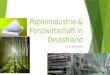 Papierindustrie & Forstwirtschaft in Deutshland Juuso Kääriäinen