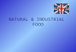 NATURAL & INDUSTRIAL FOOD. Natural & Industrial Food2 TIMELINE & ORGANIZATION  2 groups of 11 pupils  2 lessons per week (120 min)  4 lessons in each