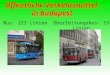 Öffentliche Verkehrsmittel in Budapest Bus: 223 LinienOberleitungsbus: 15 Linien