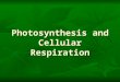Photosynthesis and Cellular Respiration Post