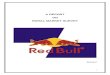 Consumer behavior of rural people towards Red Bull