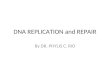 Dna Replication and Repair #4