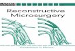 Malizos - Re Constructive Microsurgery(Landes Bio Science Vademecum